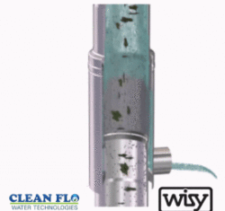 A GIF of a Wisy downspout stainless prefilter showing how the filter is used for rainwater treatment