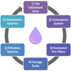 6 simple steps for harvesting rainwater.  Click to enlarge!